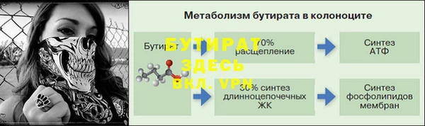 мдпв Богданович